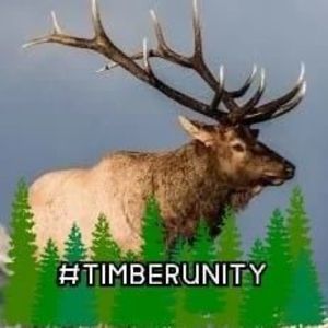 Meet your Posher, Chase